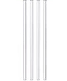 Glass Straws - Set of 4